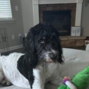 Profile photo of Calvin